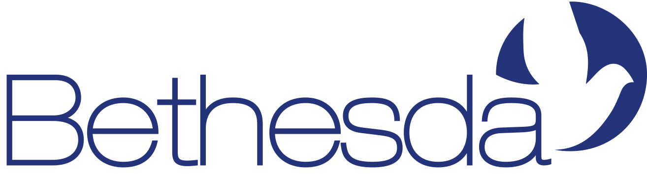 Bethesda's logo features the companies name in dark blue with a white bird inside a blue circle after the 